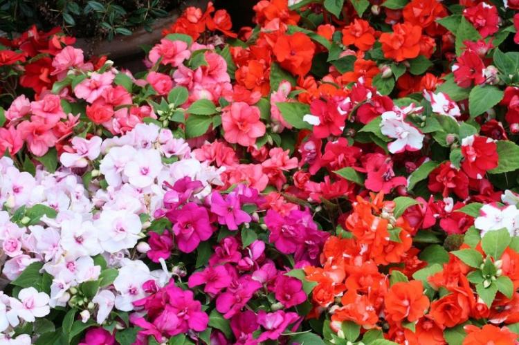 Eclairage - Baume Soin