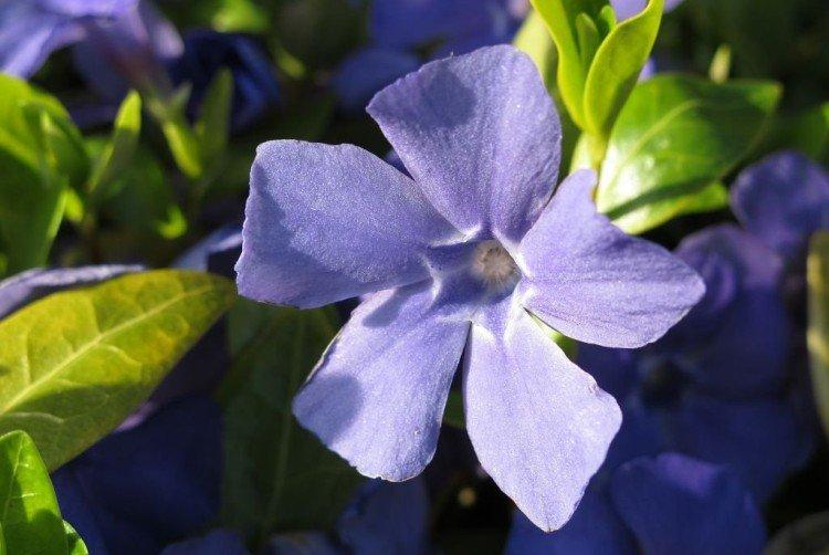 Température et éclairage - Perwinkle Care