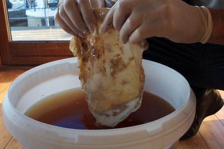 Maladies - Kombucha Care