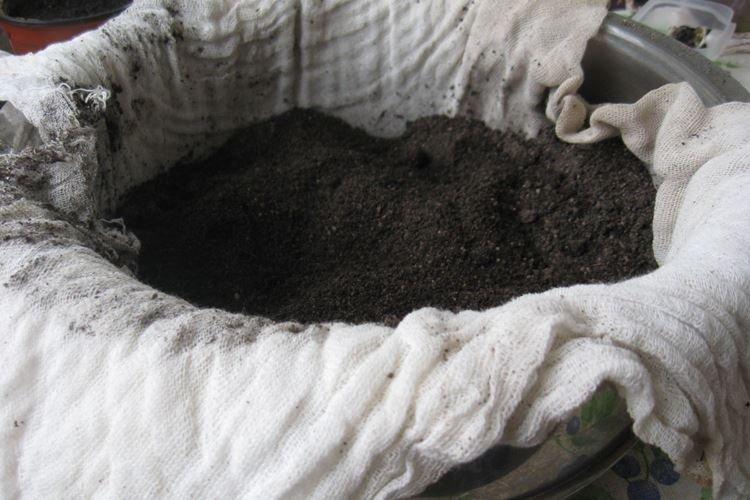 Cuisson à la vapeur - Comment désinfecter le sol avant la plantation