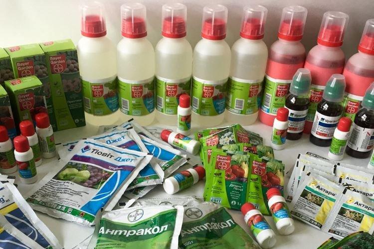 Fongicides et insecticides - Comment désinfecter le sol avant la plantation