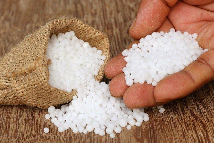 Engrais minéraux - Comment nourrir l'ail au printemps