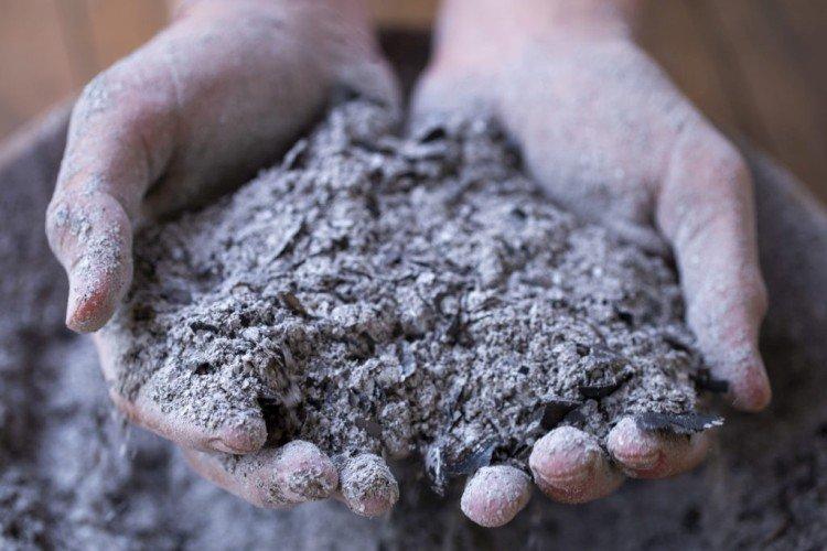 Nourrir le poivre avec de la cendre