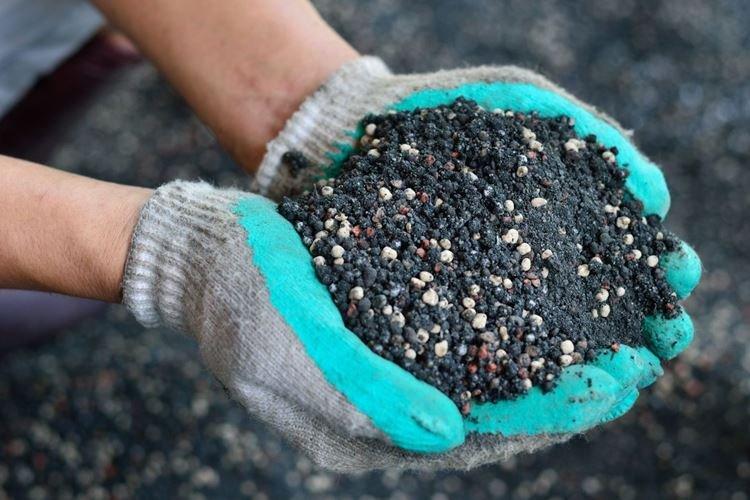 Engrais minéraux - Comment nourrir les groseilles au printemps