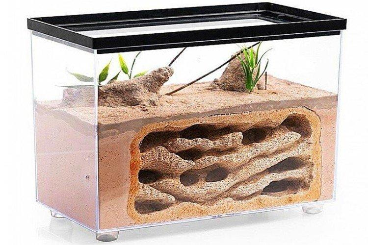 Fourmilière - Que donner à un garçon pour le Nouvel An 2021