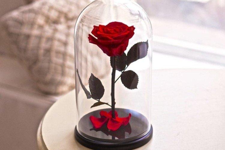 Rose éternelle dans un flacon en verre - Quoi offrir à une femme pour son anniversaire