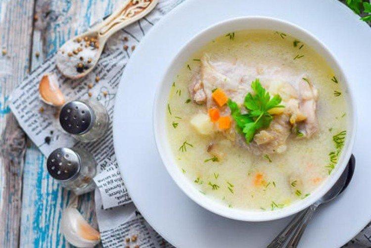 Soupe au poulet et au fromage à la crème - Que cuisiner pour le déjeuner de votre enfant Recettes