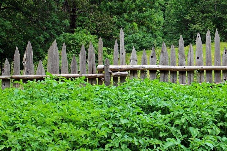 Palissade - Photos et idées de clôtures en bois