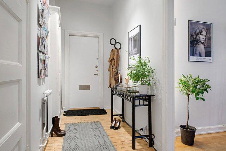 Couloir et couloir de style scandinave - photo de design d'intérieur