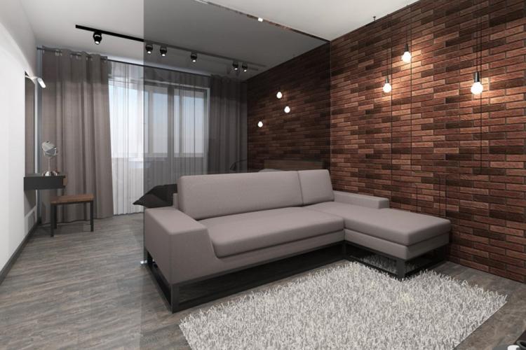 Salon combiné avec chambre à coucher - photo de design d'intérieur