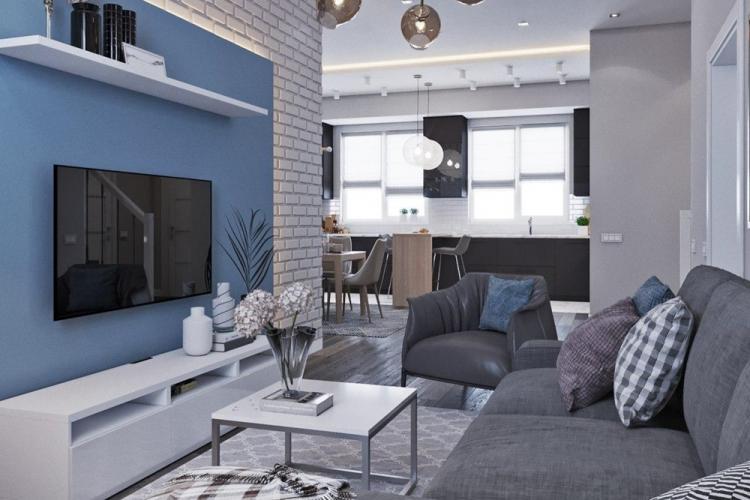 Salon étroit - photo de design d'intérieur