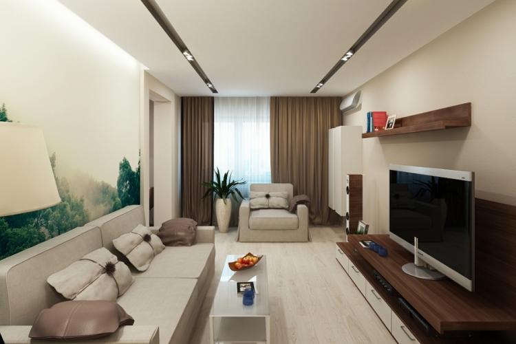 Salon étroit - photo de design d'intérieur