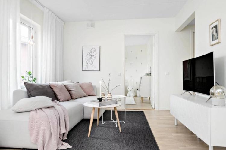 Salon étroit - photo de design d'intérieur