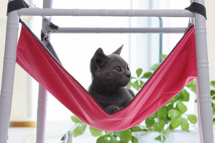 Nous cousons un hamac - Maison de chat bricolage