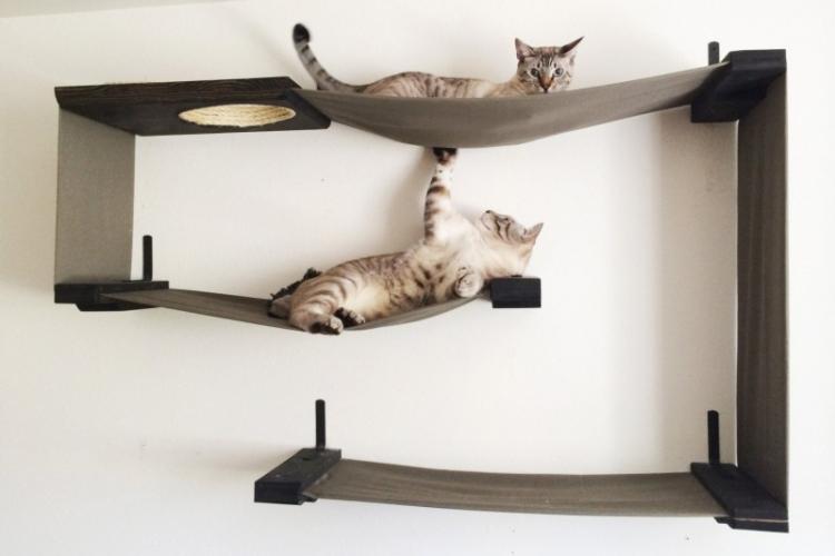 Maison de chat bricolage - photos et idées