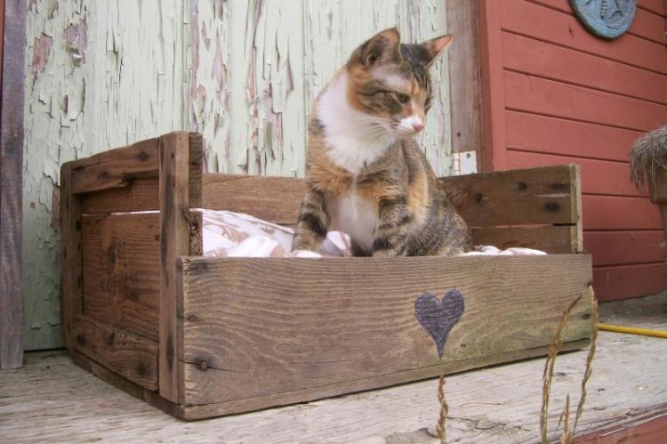 Maison de chat bricolage - photos et idées