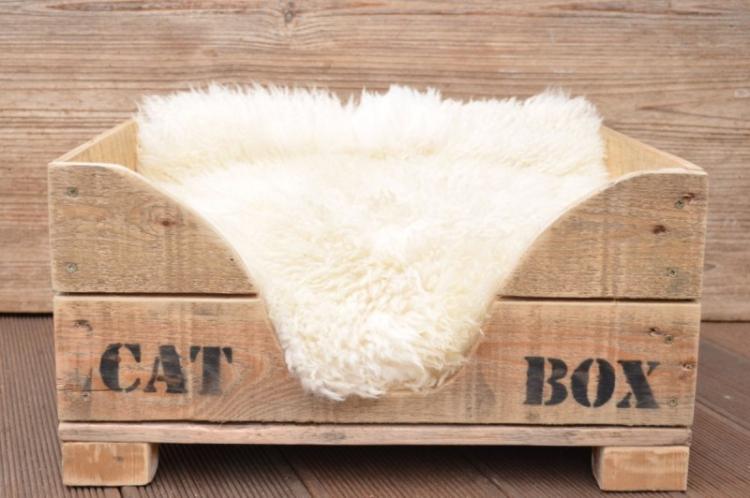 Maison de chat bricolage - photos et idées