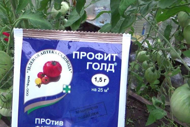 Profit Gold - Comment traiter les tomates du mildiou