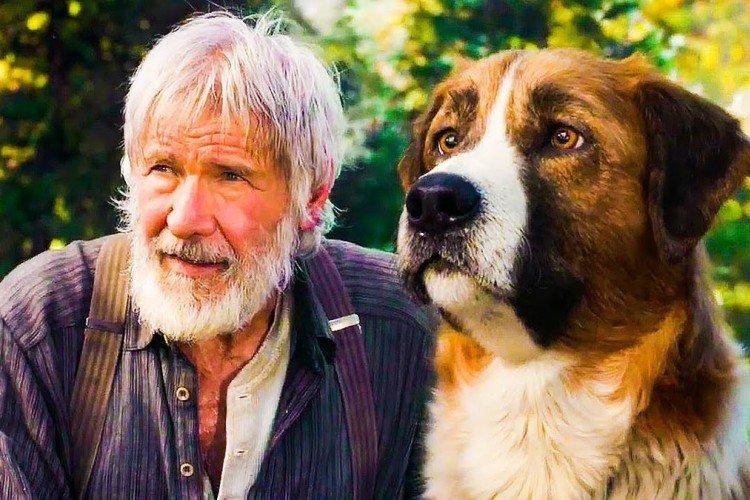 Appel de la nature (2020)