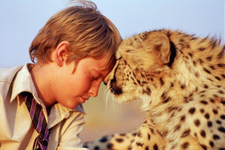 Réflexions sur la liberté (2005)