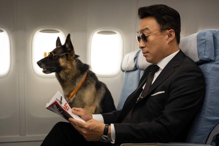 Sauvez le panda (2020)