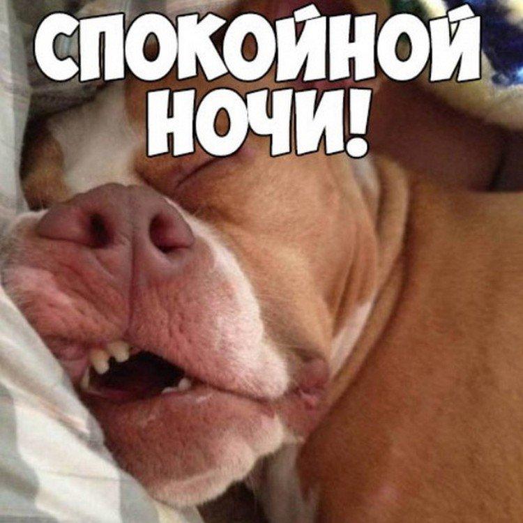 Les photos les plus cool de Bonne nuit