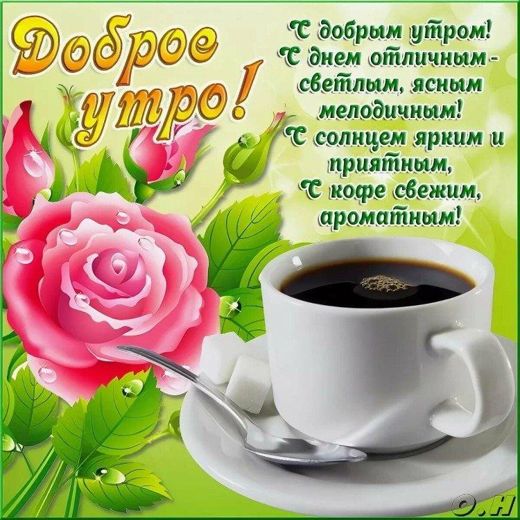 Photos Bonjour avec des voeux positifs