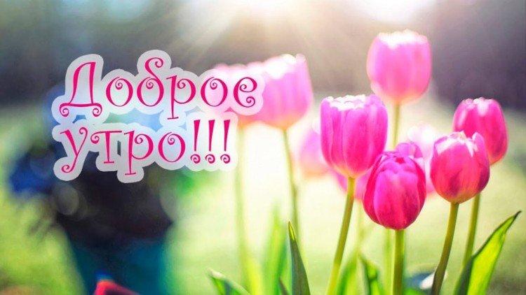 photos de printemps bonjour