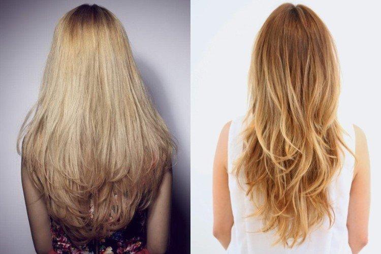 Queue de renard avec un style plumeux des pointes