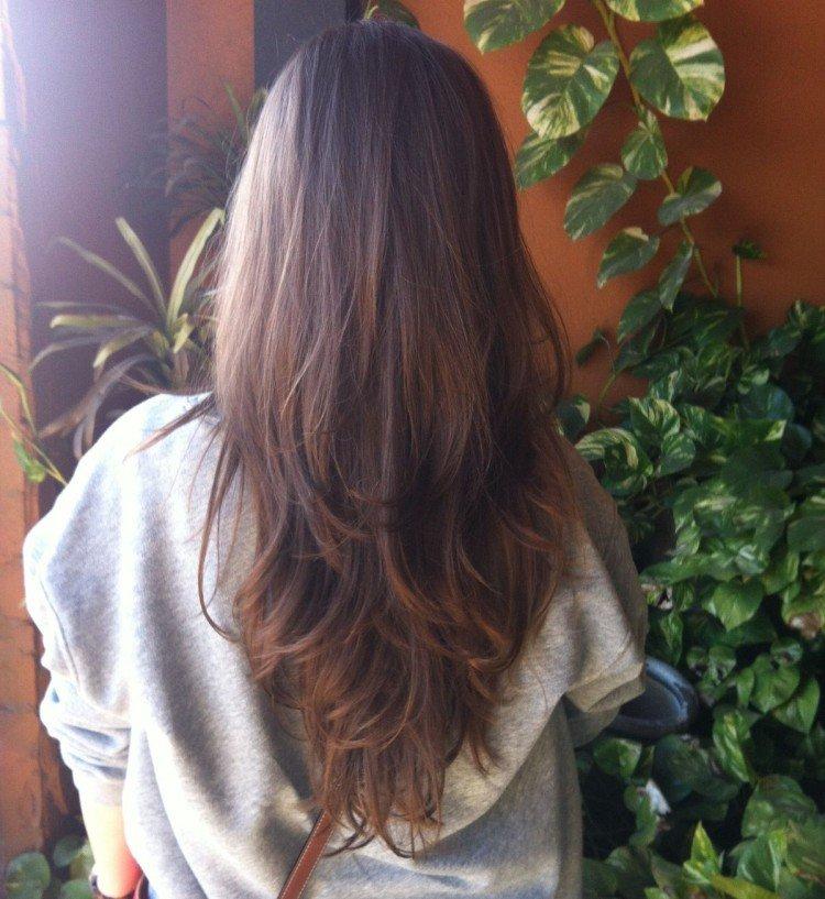 Coupe de cheveux queue de renard - photos et idées