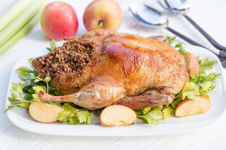 Canard au sarrasin dans la manche