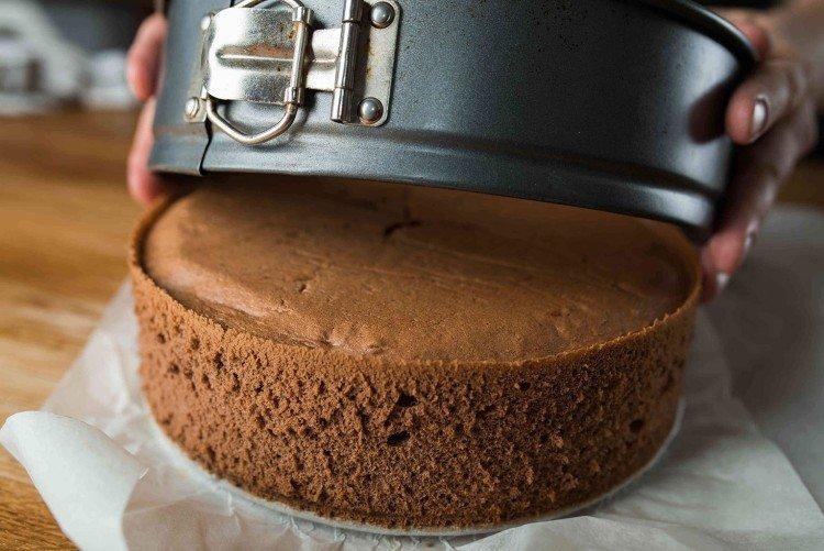 Gâteau éponge au chocolat avec café