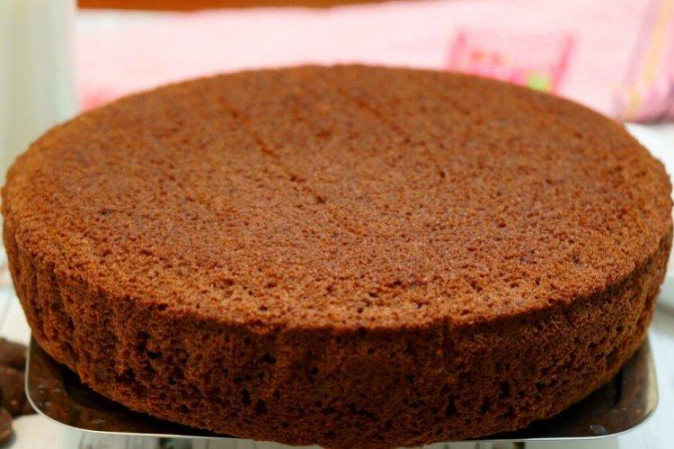 Gâteau éponge au chocolat sans blé