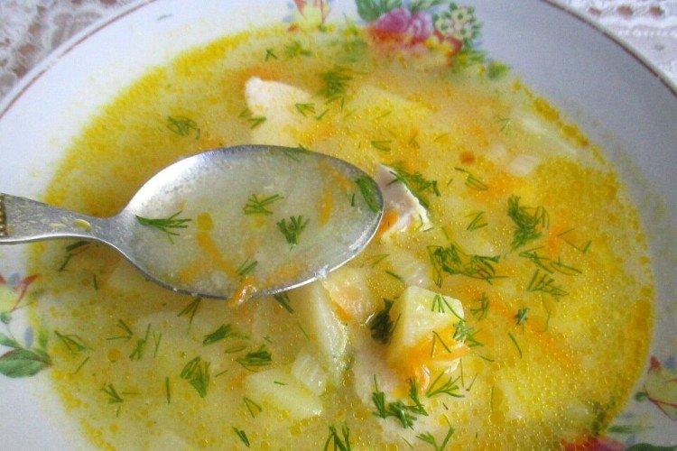 Soupe de dinde à la semoule