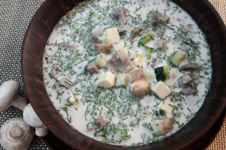 Okroshka sur kéfir aux champignons