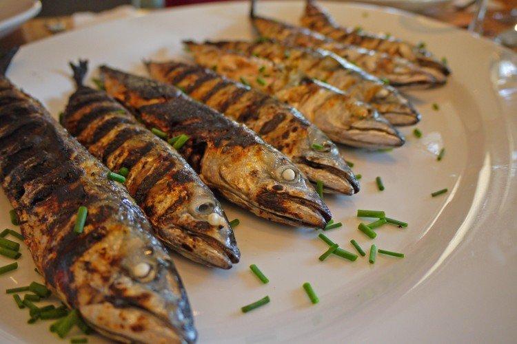 Capelan à la sauce tomate