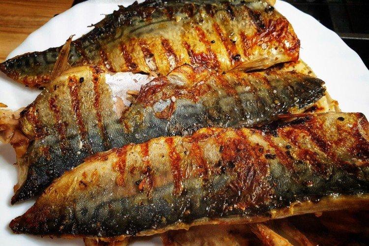 Maquereau à la tomate