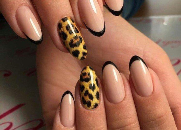 Imprimés animaliers