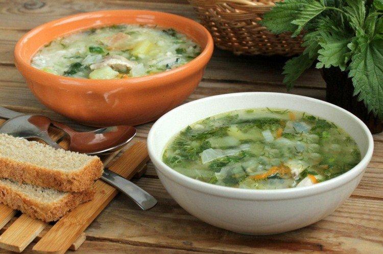 Soupe au poulet et aux orties