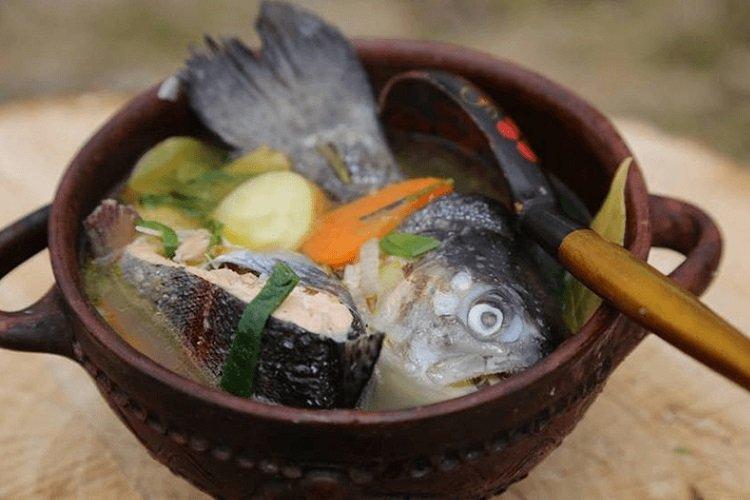 Oreille de la tête, de la queue et du dos de la truite