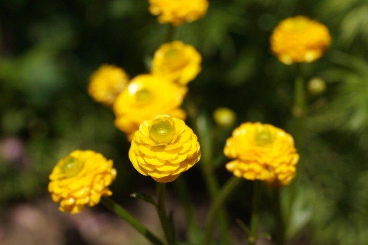 Engrais et alimentation