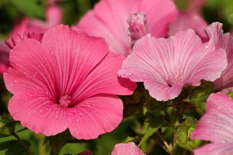 informations générales