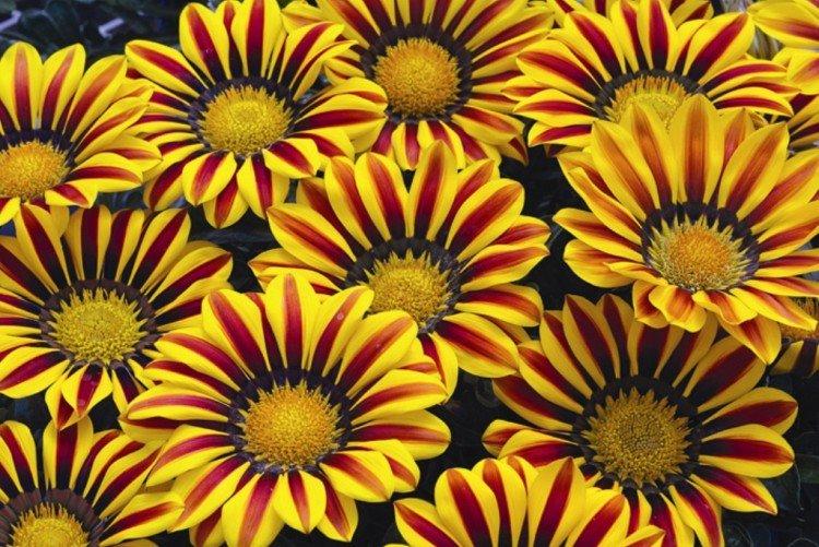 Engrais et alimentation