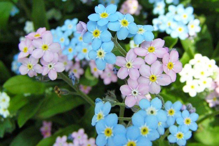 informations générales