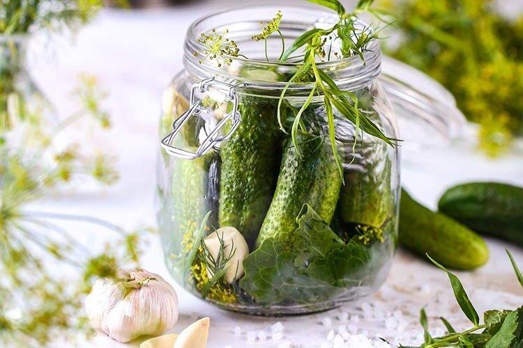 Concombres légèrement salés sur eau minérale