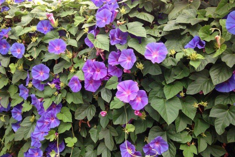 informations générales