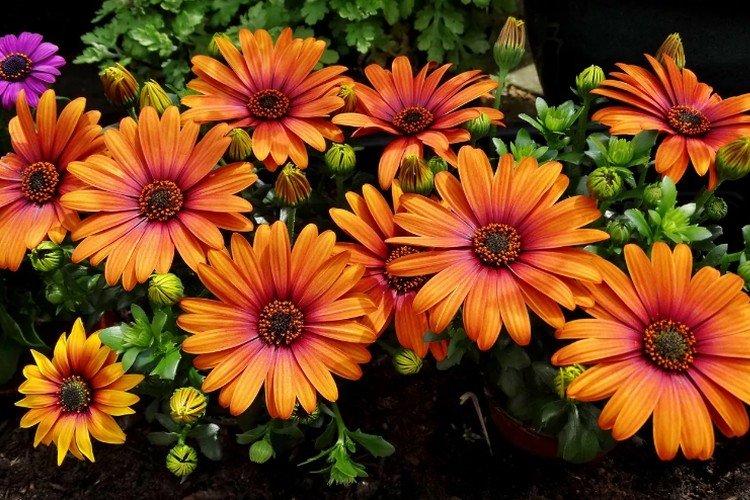 informations générales