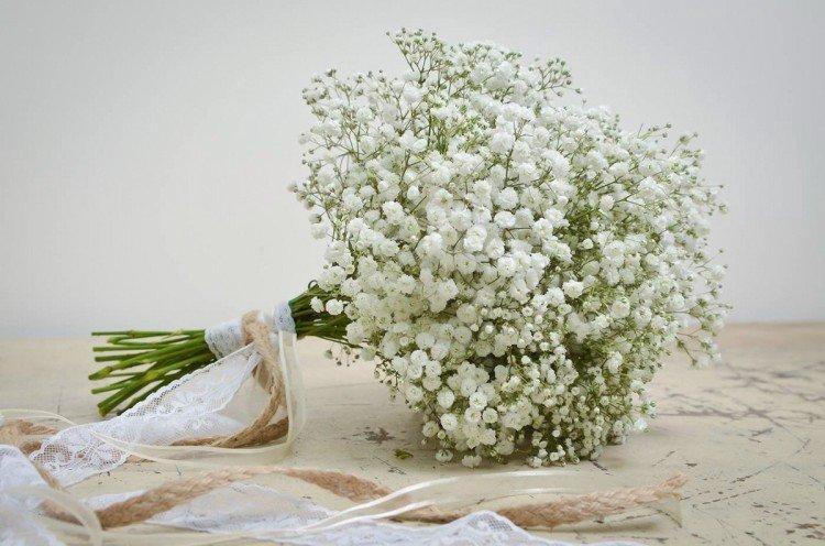 Gypsophile - photo