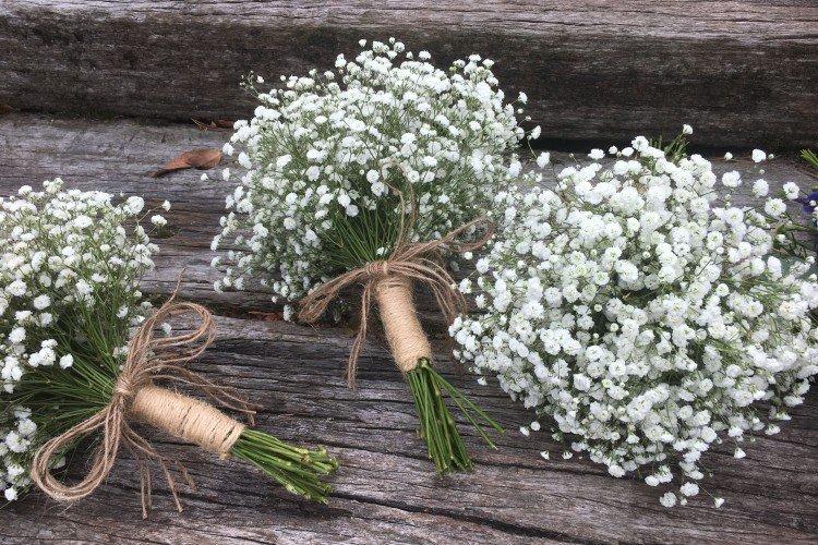 Gypsophile - photo
