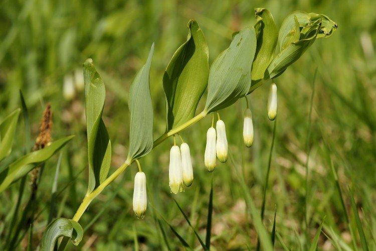 informations générales